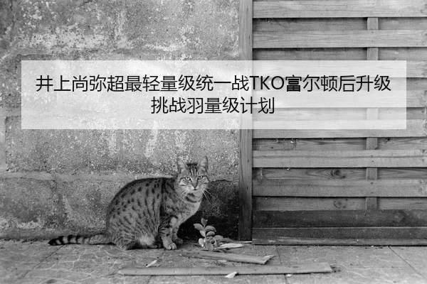 井上尚弥超最轻量级统一战TKO富尔顿后升级挑战羽量级计划